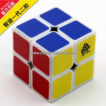 <Free Shipping>Type C 2x2x2 WitTwo V1 Black (Assembled)