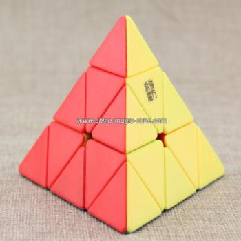 YJ YuLong Pyraminx puzzle Stickerless Magic Cube