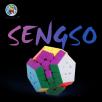 Sengso Megaminxeds Magnetic Cube Magic Cubo megaminx Stickerless Speed Cube educational Toys Puzzle