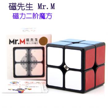 ShengShou Mr.M 2x2x2 Magnetic Magic Cube SengSo 2x2 Magnets Speed Puzzle Antistress Educational Toys For Children
